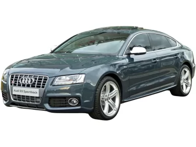 ЕВА килимки для Audi S5 Sportback 2009-2016 I покоління EU Liftback 5-ти дверна