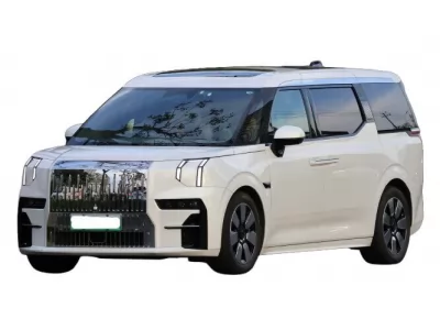 ЕВА килимки для Zeekr 009 2023-... I покоління China Minivan 7-ми місна
